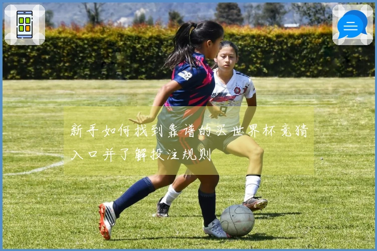 新手如何找到靠谱的买世界杯竞猜入口并了解投注规则