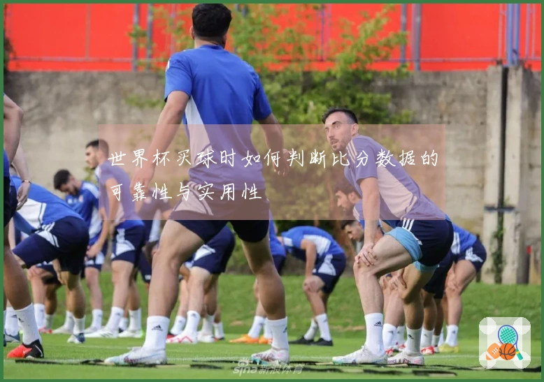 世界杯买球时如何判断比分数据的可靠性与实用性