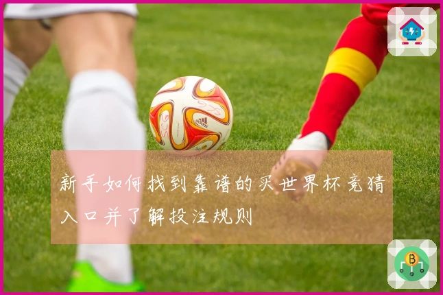 新手如何找到靠谱的买世界杯竞猜入口并了解投注规则