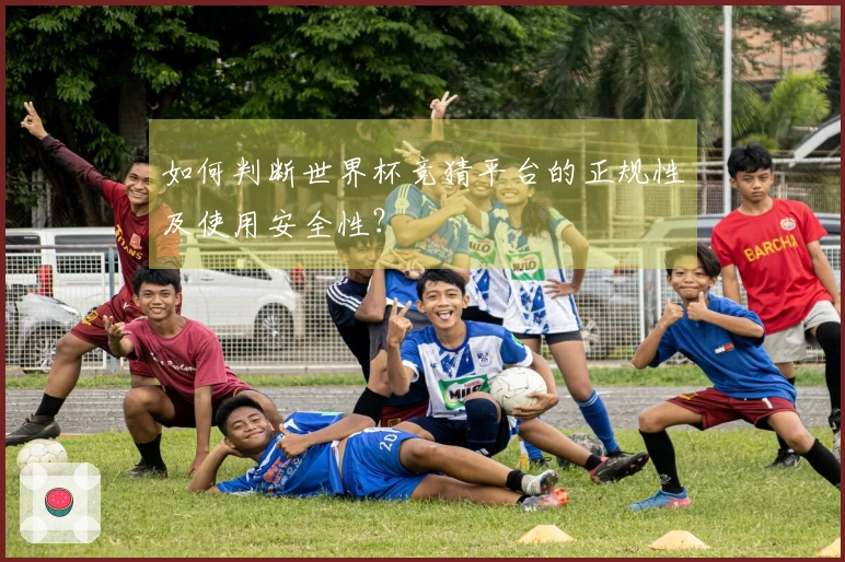如何判断世界杯竞猜平台的正规性及使用安全性？