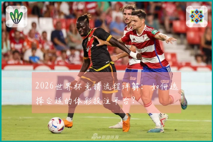 2026世界杯竞猜流程详解：如何选择合适的体彩投注平台？