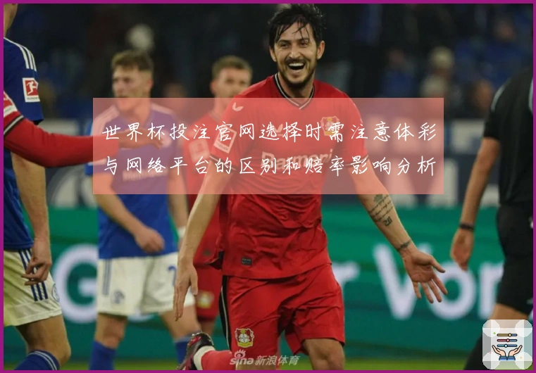 世界杯投注官网选择时需注意体彩与网络平台的区别和赔率影响分析