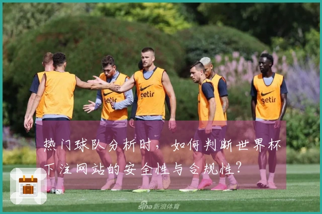 热门球队分析时，如何判断世界杯下注网站的安全性与合规性？